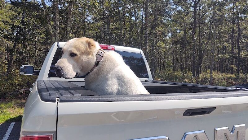 Mashpee Dog Park - Mashpee, MA