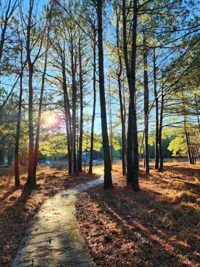 Dragonfly Dog Park & Nature Trails (Members Only) - Maysville, NC