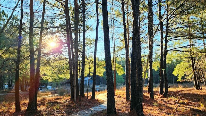 Dragonfly Dog Park & Nature Trails (Members Only) - Maysville, NC