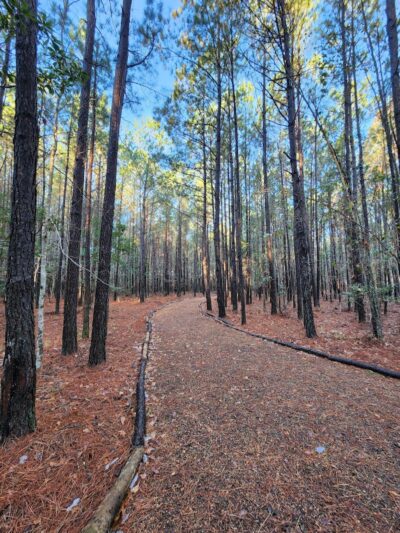 Dragonfly Dog Park & Nature Trails (Members Only) - Maysville, NC