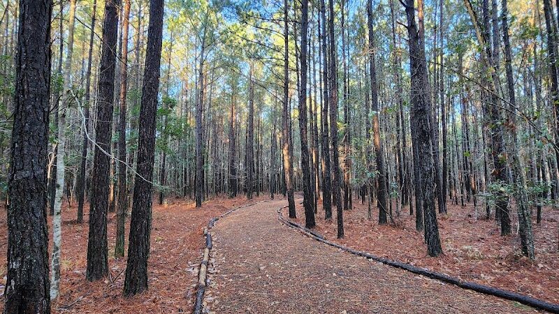 Dragonfly Dog Park & Nature Trails (Members Only) - Maysville, NC