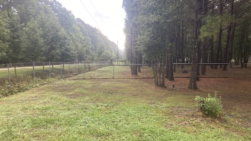 Dragonfly Dog Park & Nature Trails (Members Only) - Maysville, NC