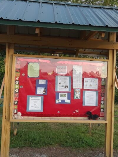 Lakeside Bark Dog Park - Mayville, NY