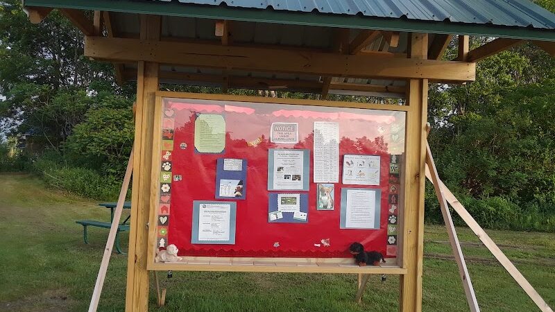 Lakeside Bark Dog Park - Mayville, NY