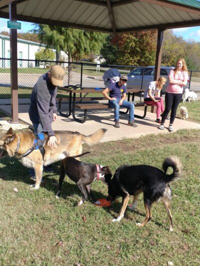 McAlester Dog Park - McAlester, OK