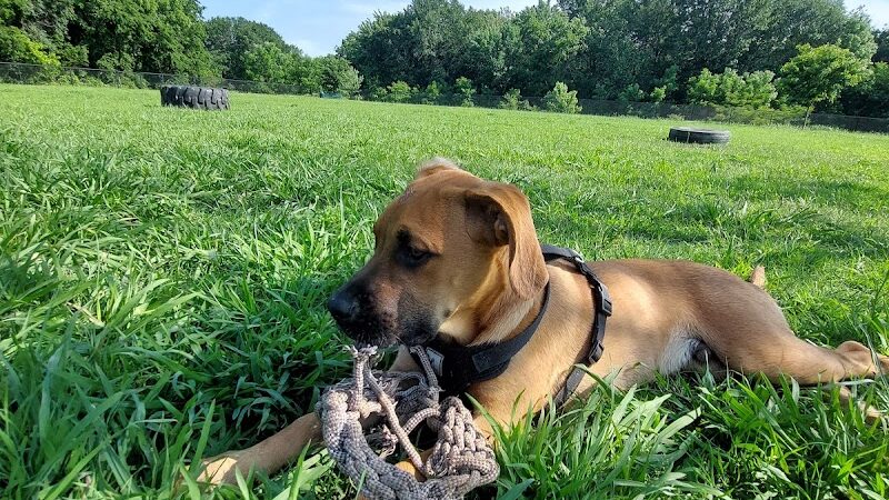 McAlester Dog Park - McAlester, OK