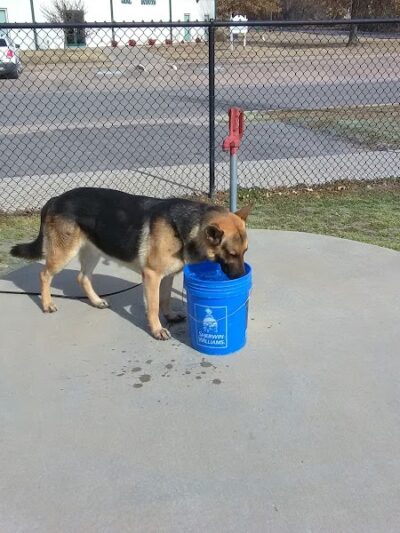 McAlester Dog Park - McAlester, OK