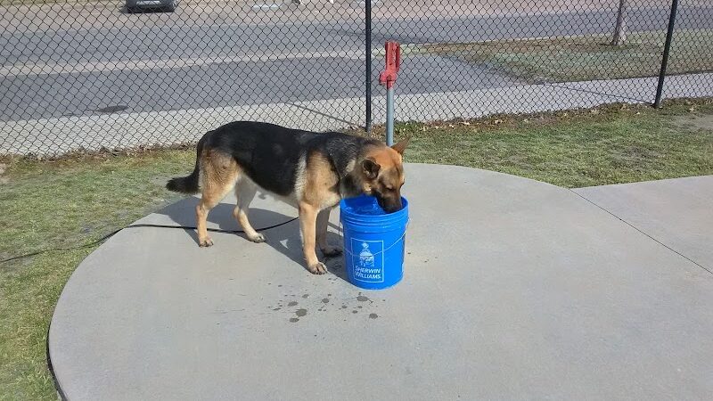 McAlester Dog Park - McAlester, OK