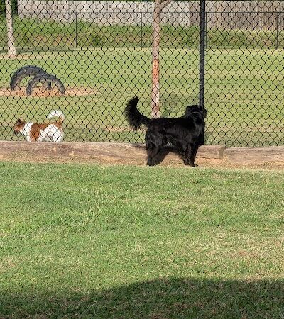 McAlester Dog Park - McAlester, OK