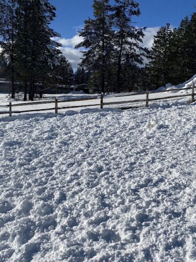 McCall Unleashed Dog Park