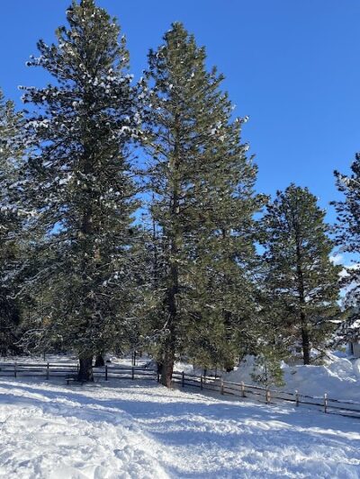 McCall Unleashed Dog Park