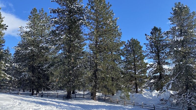 McCall Unleashed Dog Park