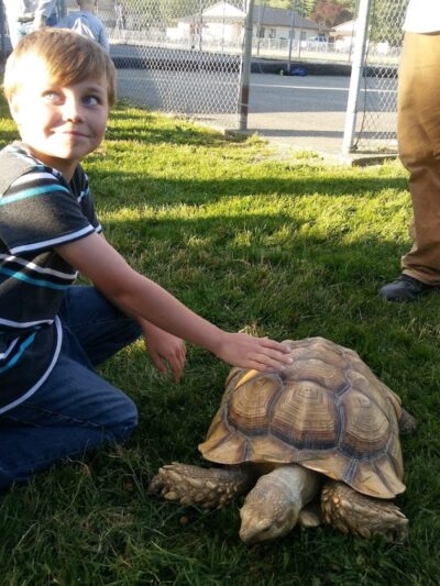 Beerbower Park - McCleary, WA