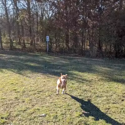 McFarland Dog Park - McFarland, WI