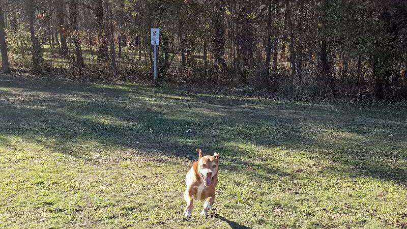 McFarland Dog Park - McFarland, WI