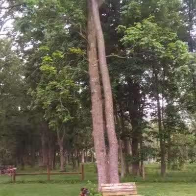 McFarland Dog Park - McFarland, WI