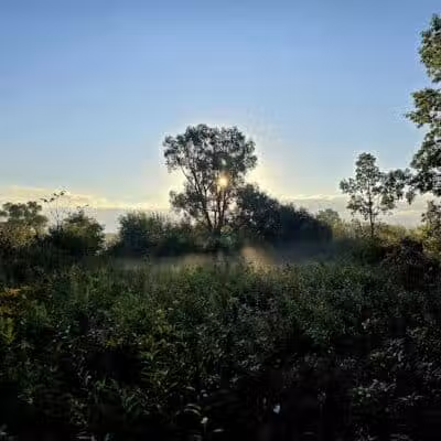 McFarland Dog Park - McFarland, WI