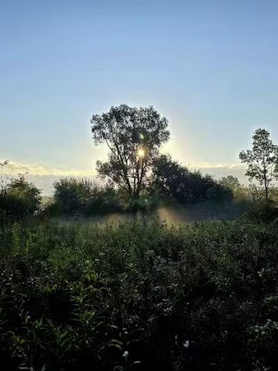 McFarland Dog Park - McFarland, WI