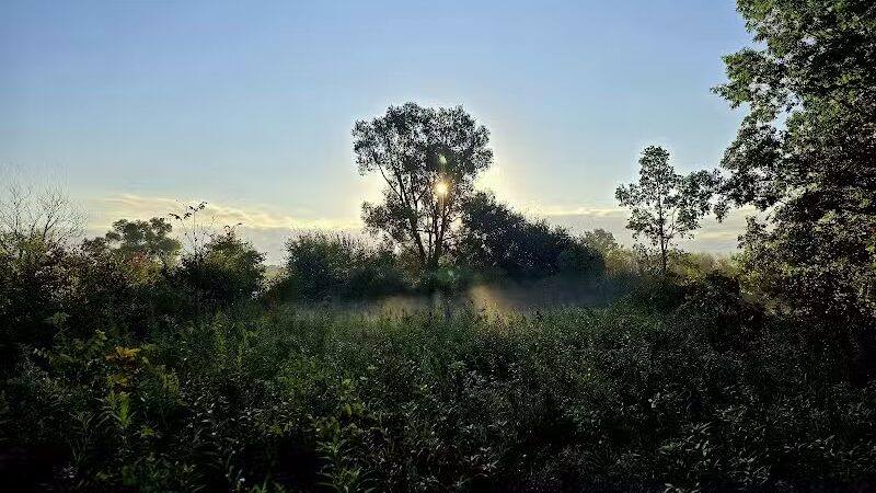 McFarland Dog Park - McFarland, WI