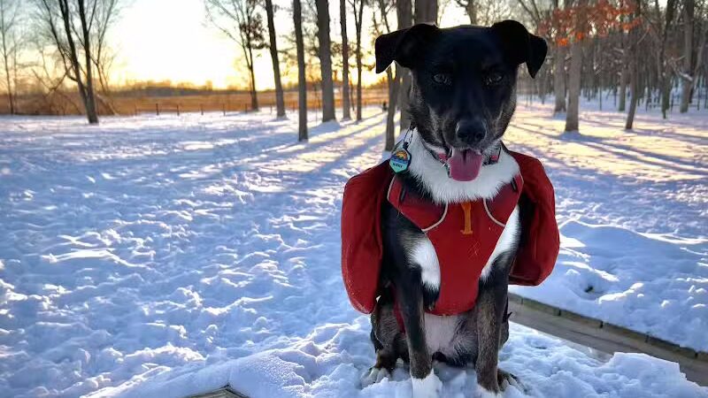 McFarland Dog Park - McFarland, WI