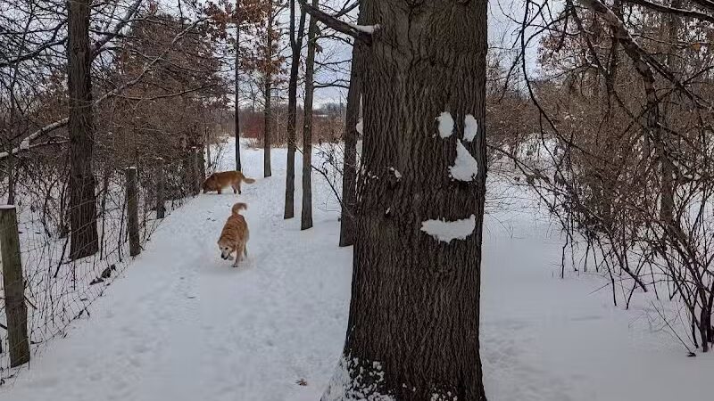 McFarland Dog Park - McFarland, WI