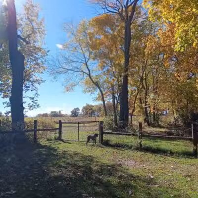 McFarland Dog Park - McFarland, WI