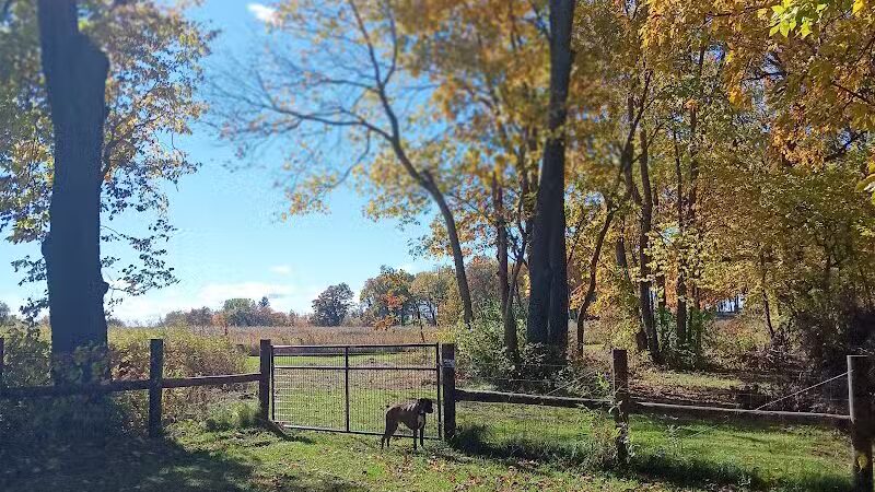 McFarland Dog Park - McFarland, WI