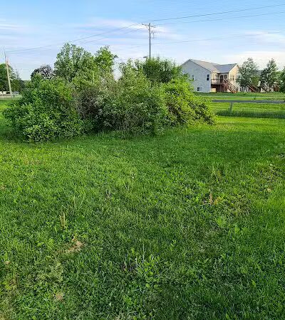 McFarland Dog Park - McFarland, WI