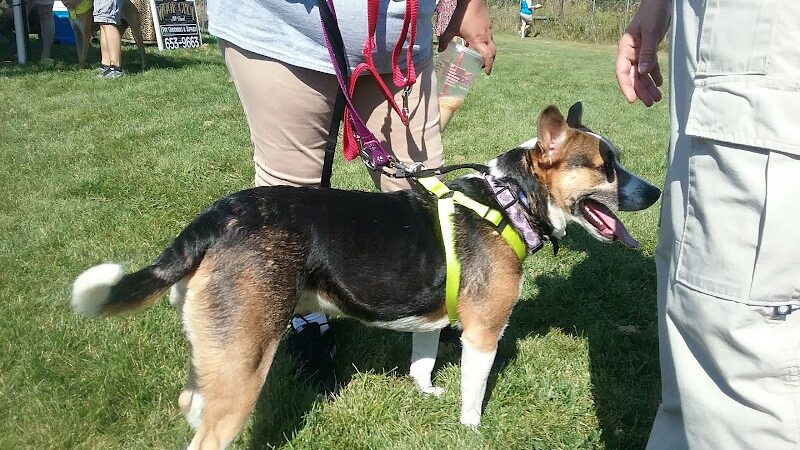 McBark Dog Park - McHenry, IL