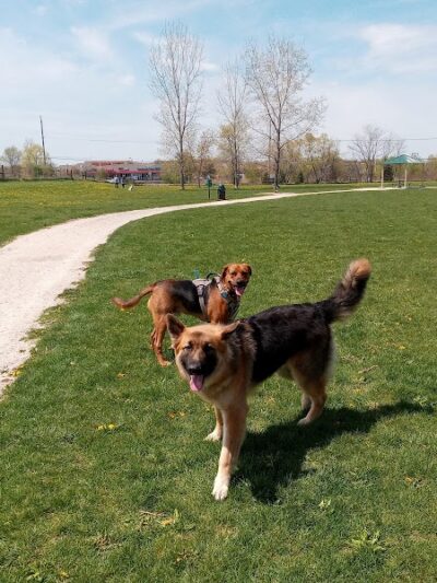 McBark Dog Park - McHenry, IL