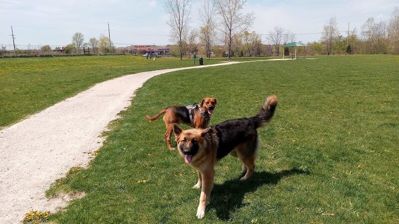 McBark Dog Park - McHenry, IL