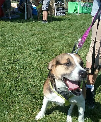 McBark Dog Park - McHenry, IL