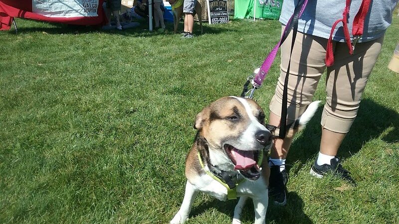 McBark Dog Park - McHenry, IL