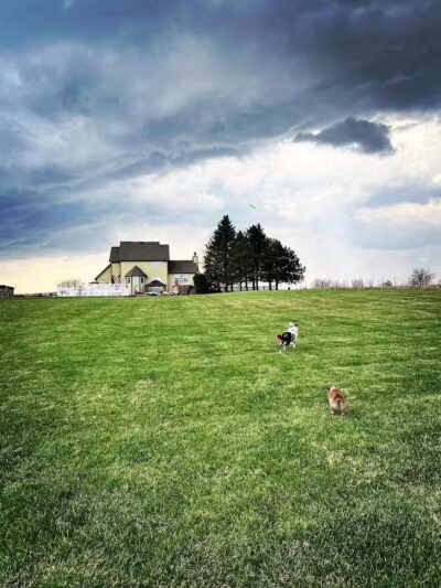 Zoomie Zones - McHenry, IL