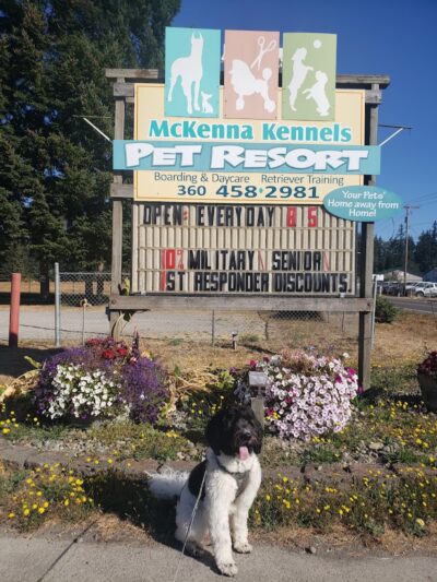 McKenna Kennels Pet Resort - McKenna, WA