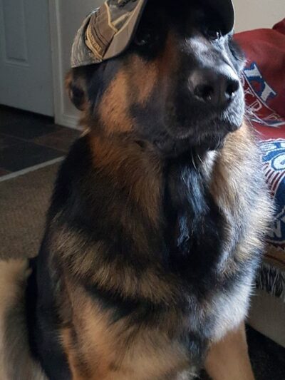 McKenna Kennels Pet Resort - McKenna, WA