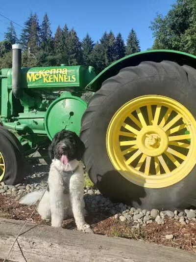 McKenna Kennels Pet Resort - McKenna, WA