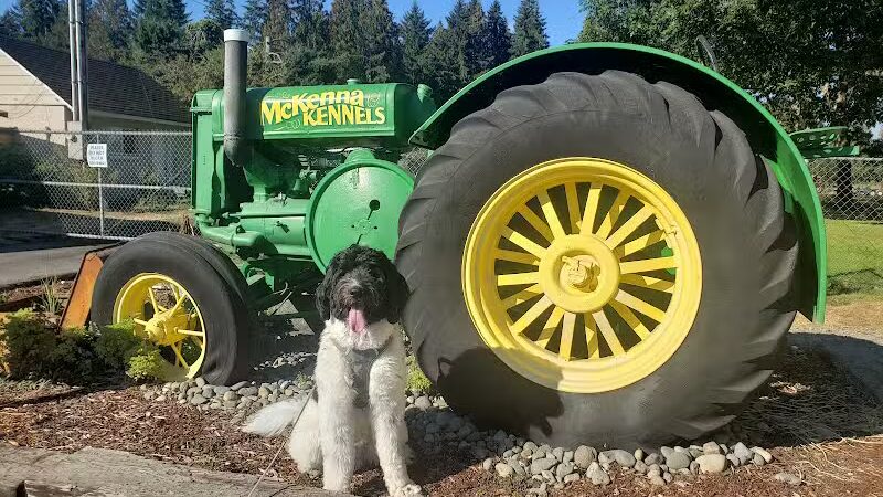 McKenna Kennels Pet Resort - McKenna, WA