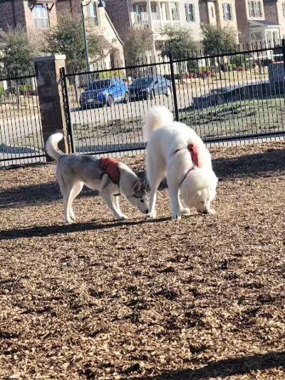 K9 Corral at Craig Ranch - McKinney, TX