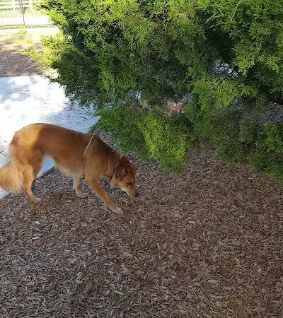 K9 Corral at Craig Ranch - McKinney, TX