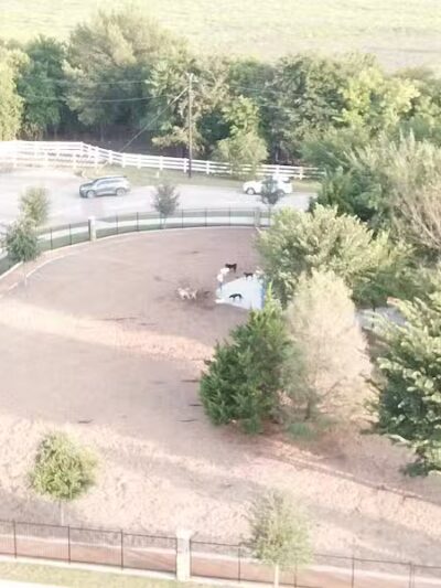 K9 Corral at Craig Ranch - McKinney, TX