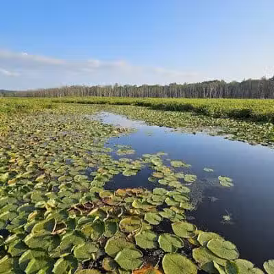 Round Lake Preserve - Mechanicville, NY