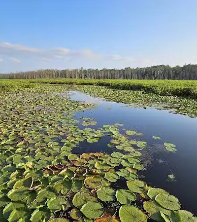 Round Lake Preserve - Mechanicville, NY