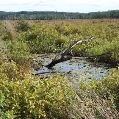 Round Lake Preserve - Mechanicville, NY