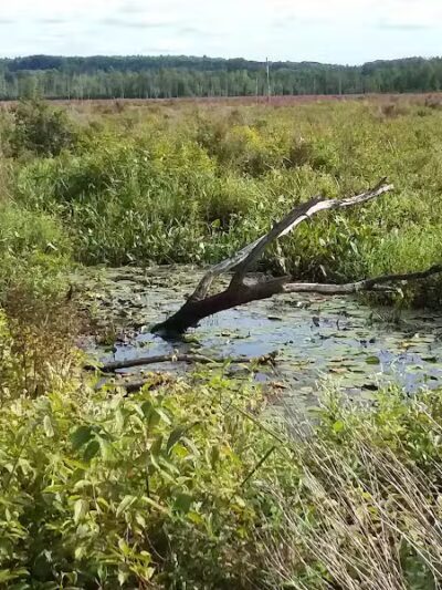 Round Lake Preserve - Mechanicville, NY