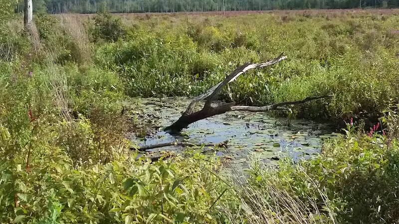 Round Lake Preserve - Mechanicville, NY