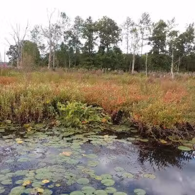 Round Lake Preserve - Mechanicville, NY