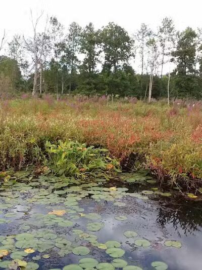 Round Lake Preserve - Mechanicville, NY