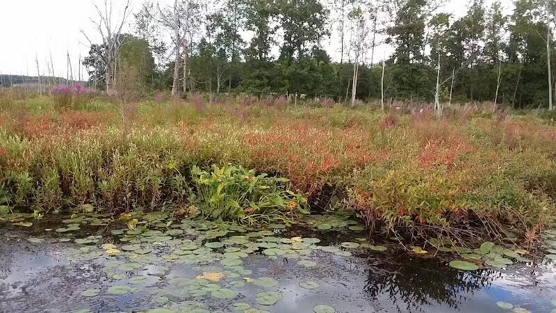 Round Lake Preserve - Mechanicville, NY