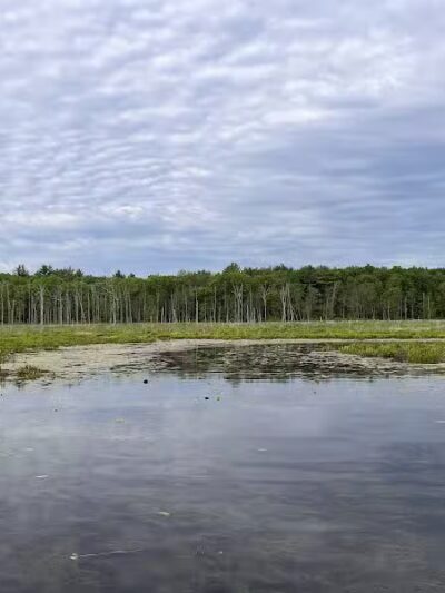 Round Lake Preserve - Mechanicville, NY